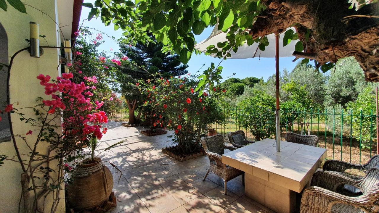 Villa Dunes 350M From The Sandy Beach Kalogria  Zewnętrze zdjęcie