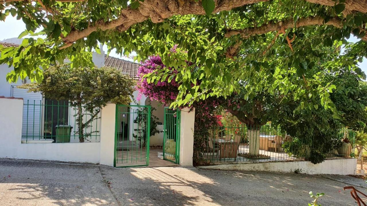Villa Dunes 350M From The Sandy Beach Kalogria  Zewnętrze zdjęcie